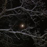half moon