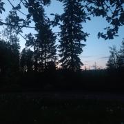 31st of May 2024