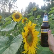 6th of August 2024