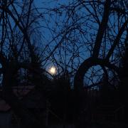 1st of April 2026