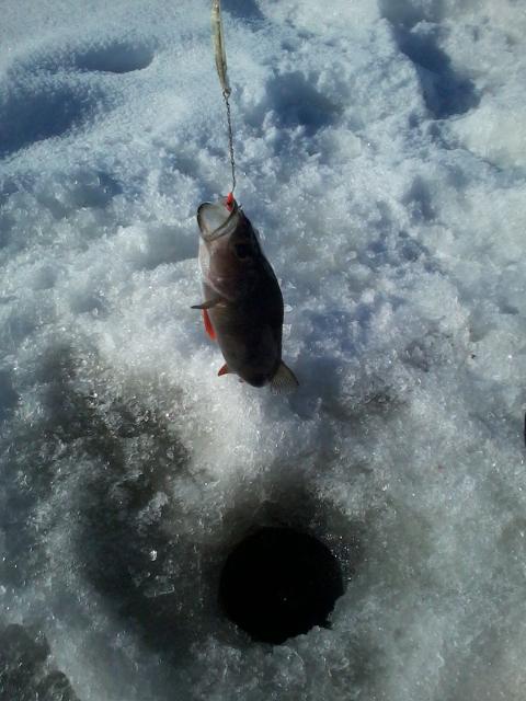 The first catch of the day