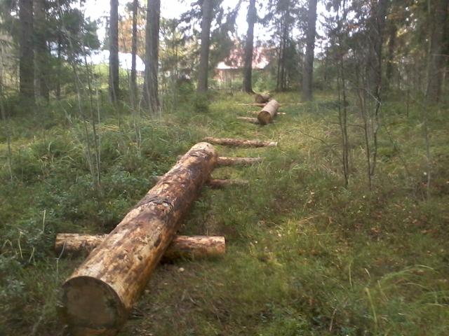 A track for hauling logs